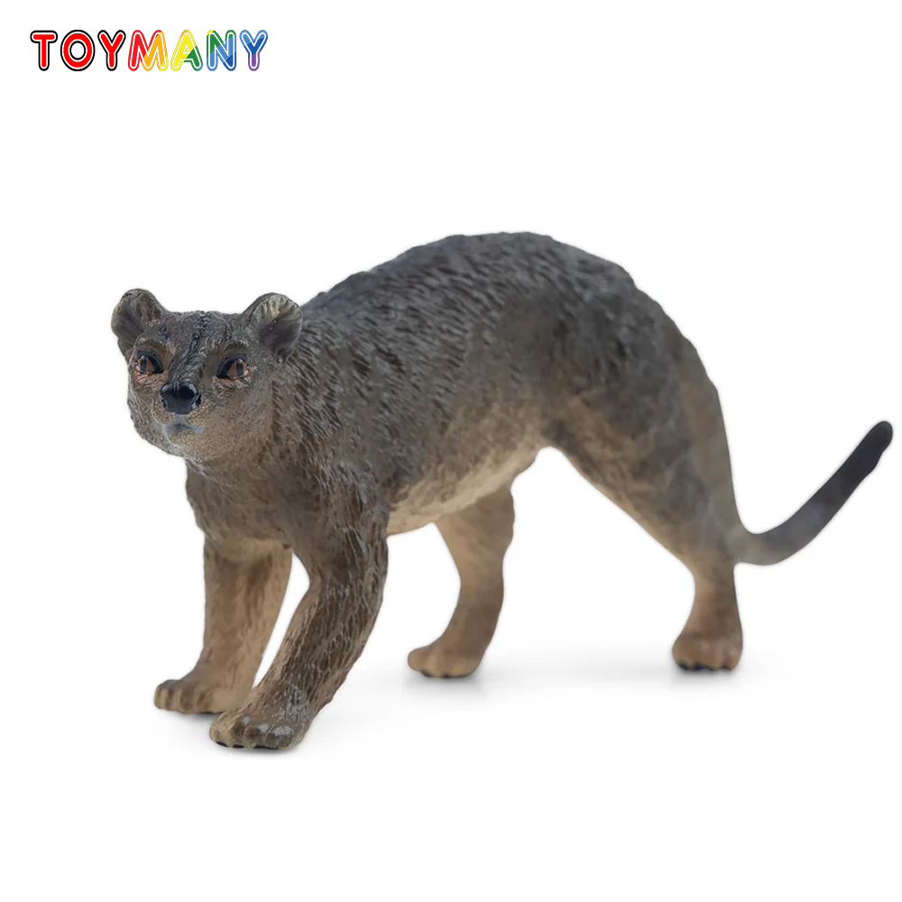 Kids Toys Variety - Toymany Simulation Fossa Madagascar Animal Model