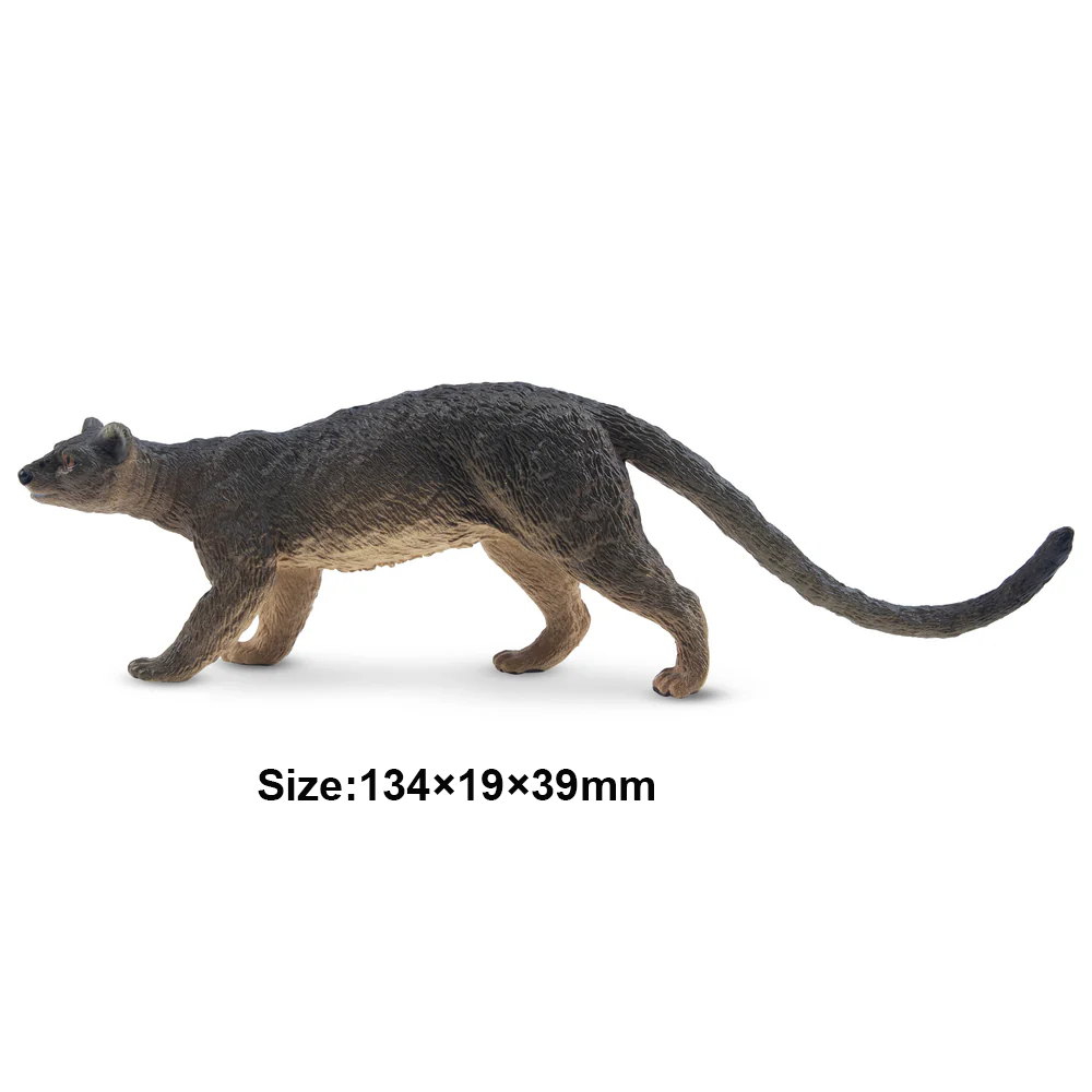 Toymany Simulation Fossa Madag - Kids Toys Variety review and price
