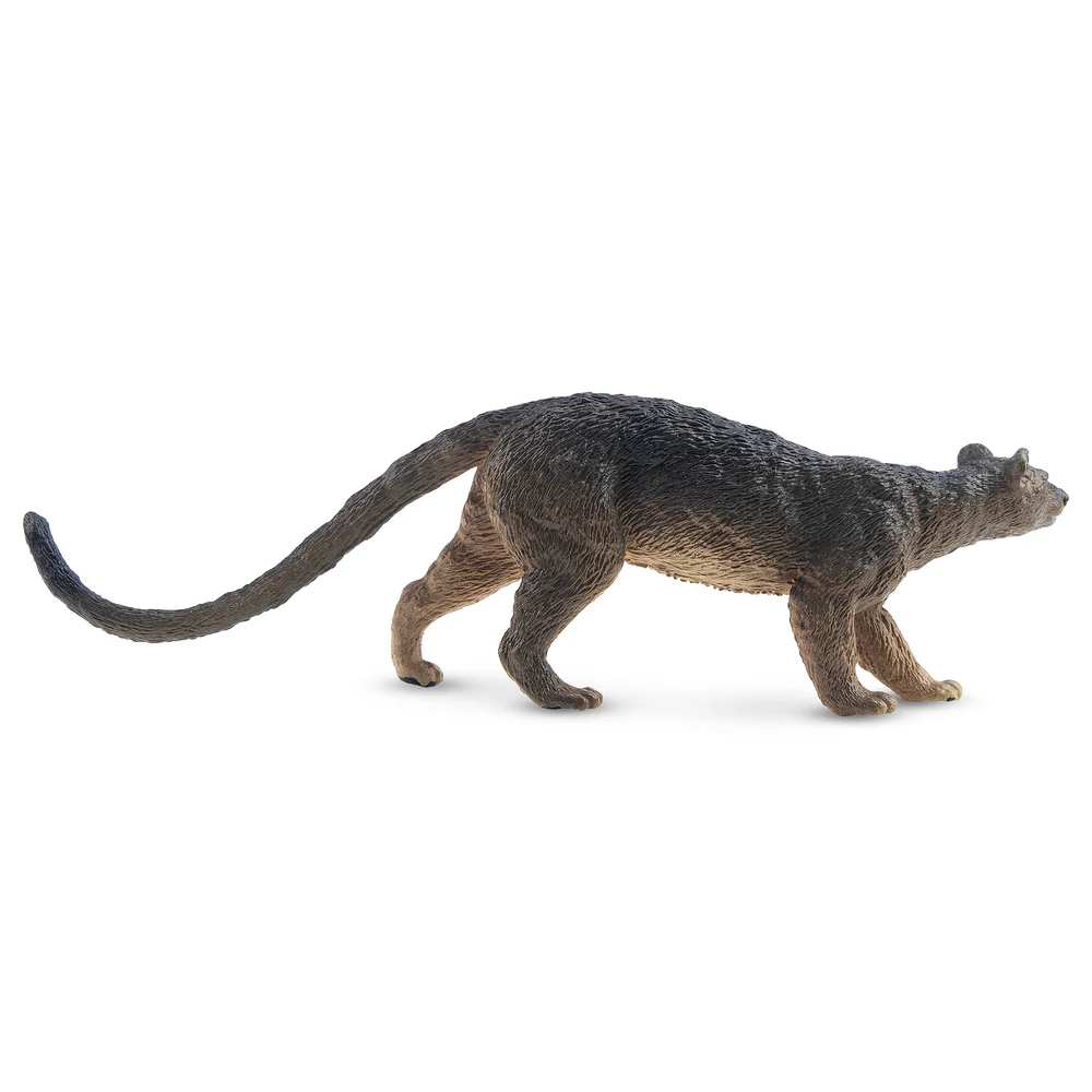 Toymany Simulation Fossa Madag - Kids Toys Variety review and price
